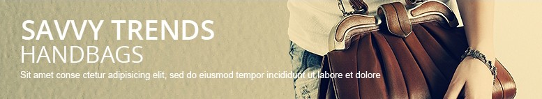 Savvy trends handbags